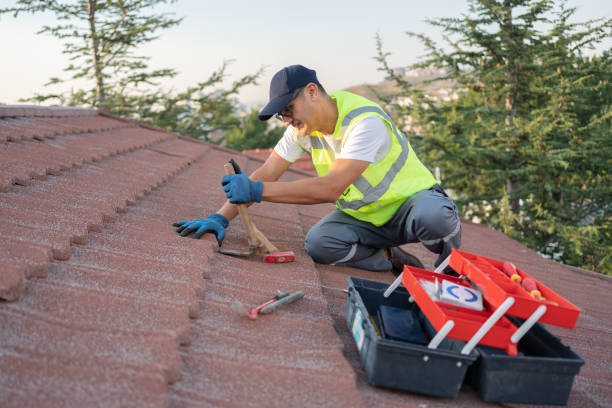 Best Metal Roofing Contractor  in District Heights, MD